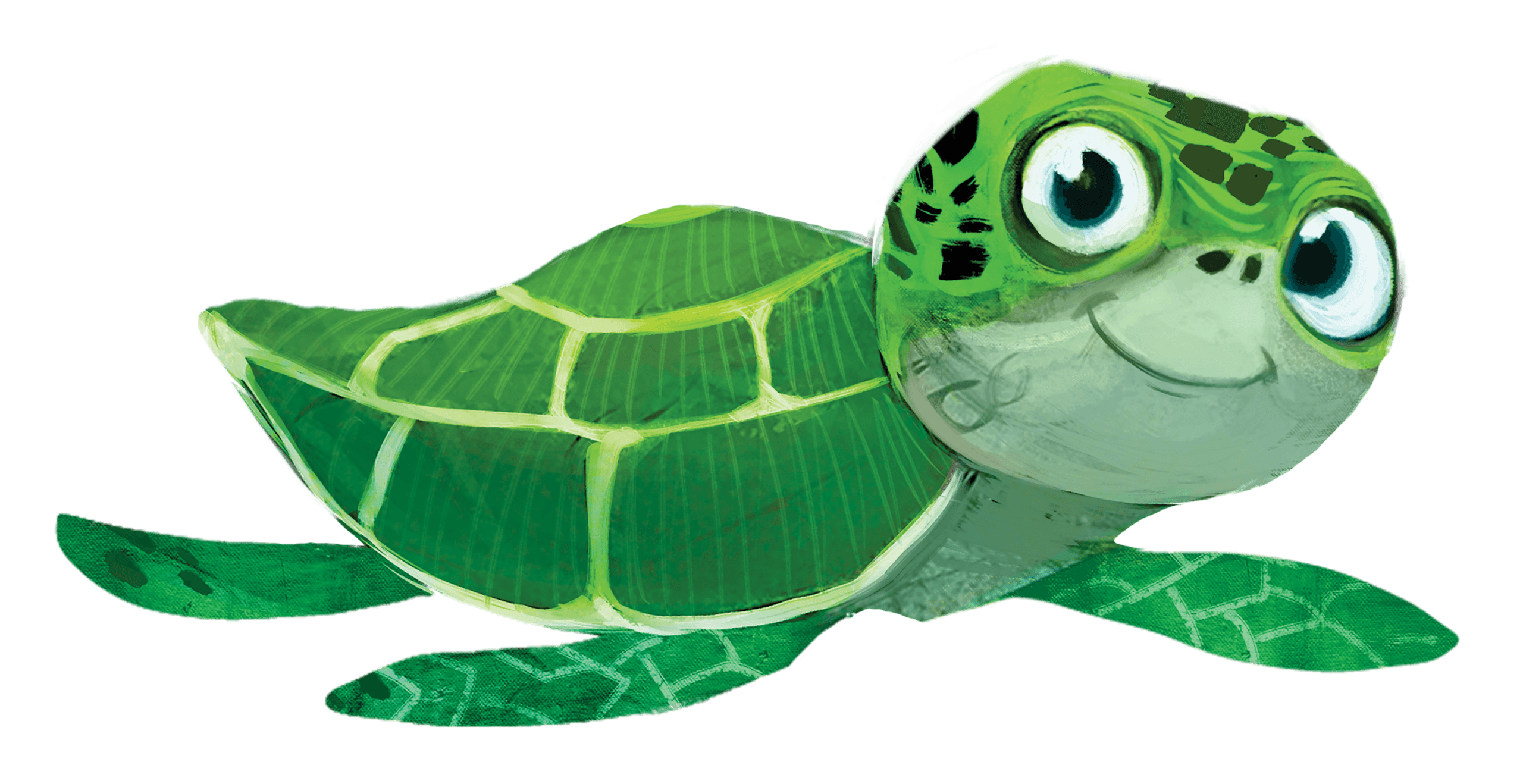 Sea Turtle